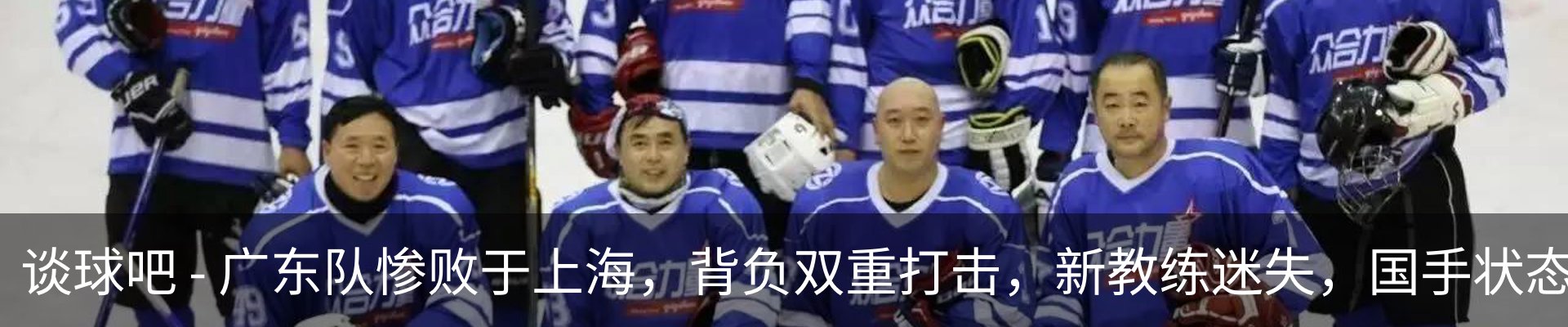 新闻动态